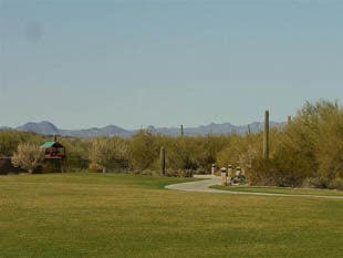 Desert Scenery