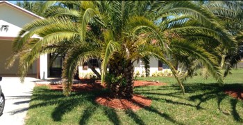 Golden Palms Care Center front view