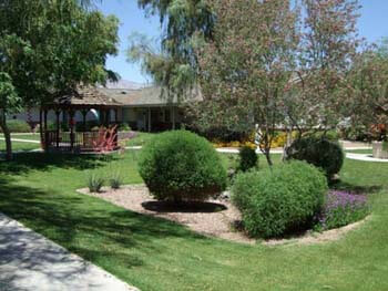 manicured lawns