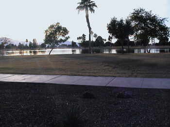 Desert View