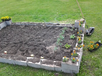 garden of the facility