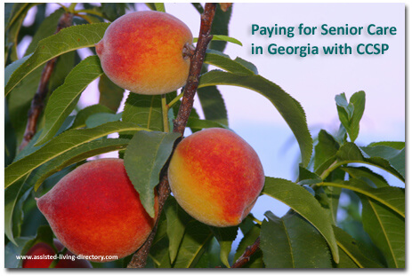 Georgia CCSP and paying for care