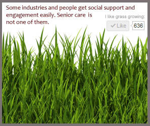 Social Support for the Senior Care industry