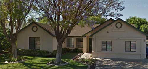 Heart Prints Elderly