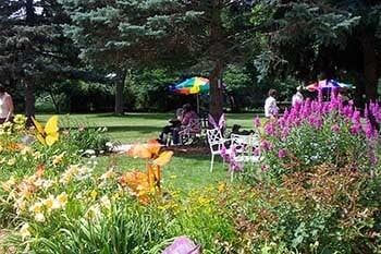 garden and lawn area