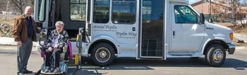 Colonial Poplin - transportation van