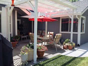 back yard