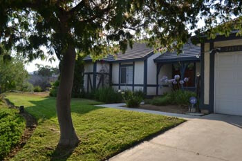 Lilies facility photo