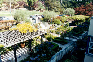 Buena Vista Manor House photo