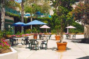 Assisted Living Grounds