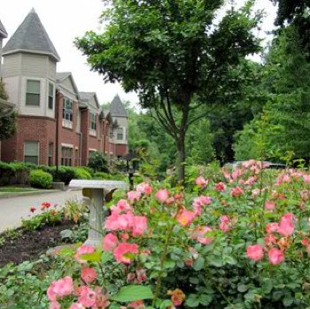 Community Flowers Juniper Village Pgh