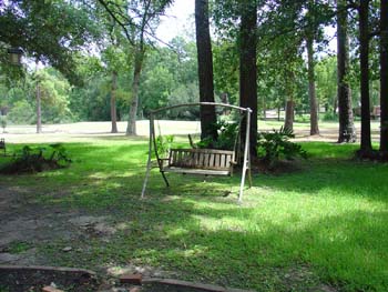 seniors area to enjoy activities