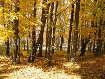 Assisted living facility in Troy