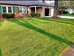 Genesis Senior Living