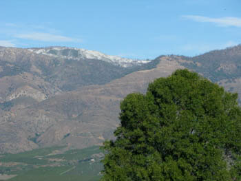 Beautiful RCFE and views from facility