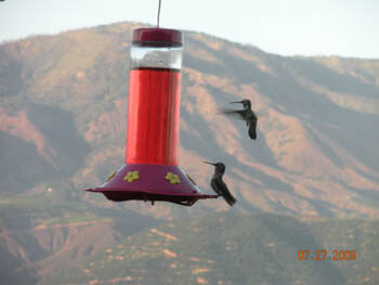 view from the facility