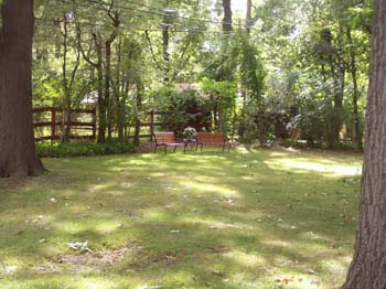 Island Pines Assisted 2