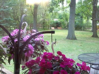 Island Pines Assisted 3