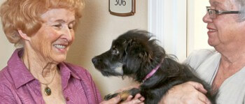 Morningstar at Dayton Place