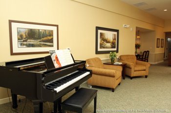 piano area