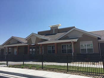 New Dawn Williamsburg