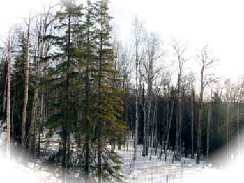 Alaska assited living