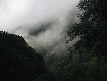 view from Open Arms Forever facility