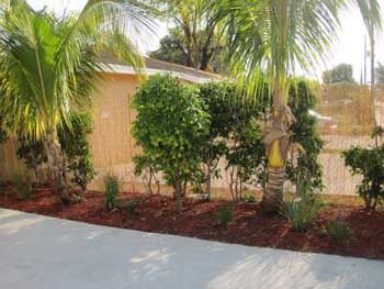 driveway and trees for facility