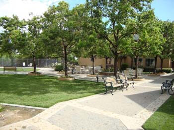 outside and walking area