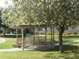 The gazebo area at Pacifica Senior Living in Paradise Valley