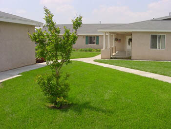 a view of several of the cottages