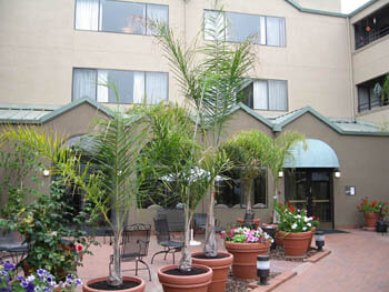 Pacifica San Leandro's wonderful plants area