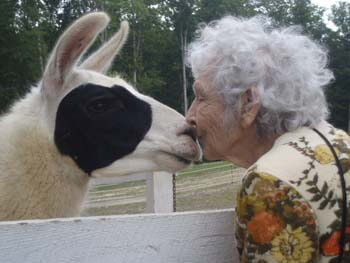 The Haven Assisted Living Facility