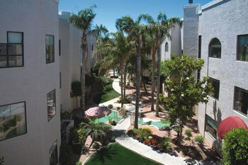 community landscaping