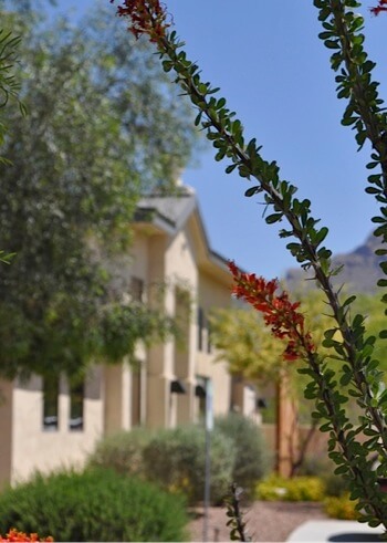 The Villas at La Canada view through flowers