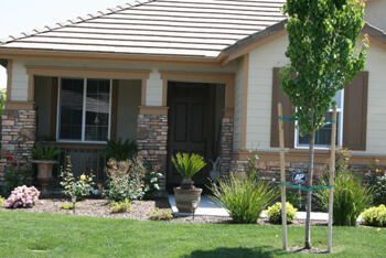 West Park Elderly Care, assisted living in Roseville