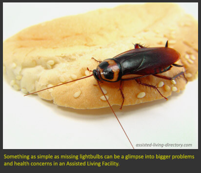 Small problems and big facility issues