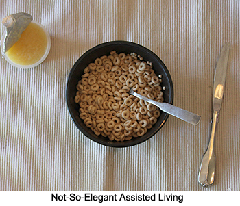 Not So Elegant Assisted Living