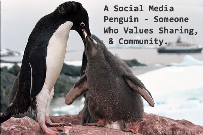 Social Media Penguin